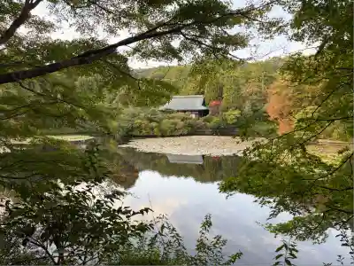 龍安寺(京都府)