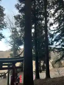 大宮温泉神社(栃木県)(2023年02月15日(水) 07時57分05秒投稿)