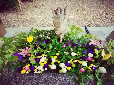 滑川神社 - 仕事と子どもの守り神の手水舎