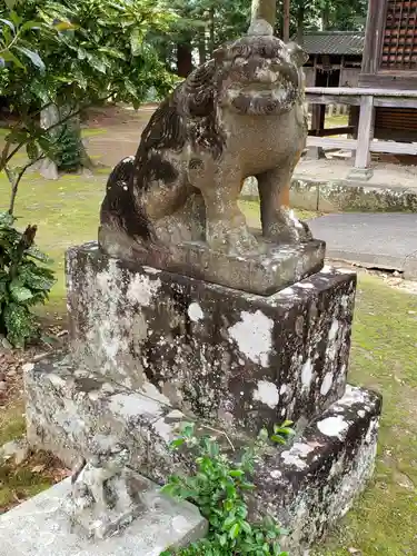 川津来宮神社の狛犬