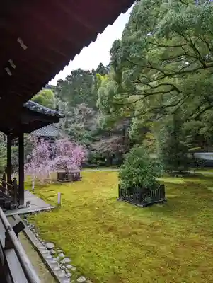 青蓮院門跡(京都府)