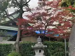 開口神社の自然