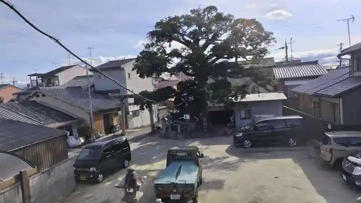 櫟谷七野神社(京都府)