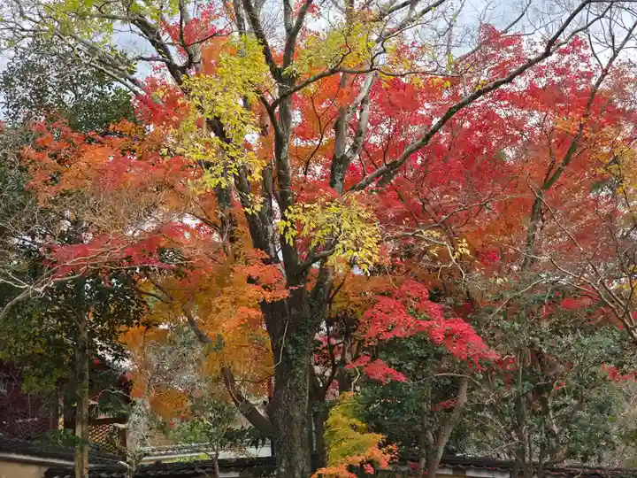 延命寺(大阪府)