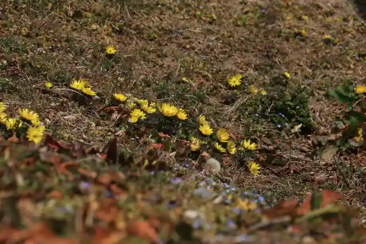 長屋神社の自然
