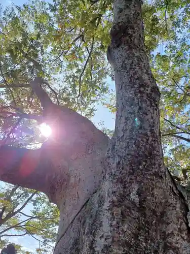 阿邪訶根神社(福島県)