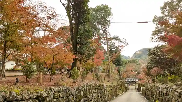 興聖寺(興聖寶林禅寺)(京都府)