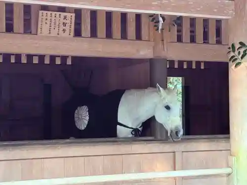 伊勢神宮外宮（豊受大神宮）(三重県)