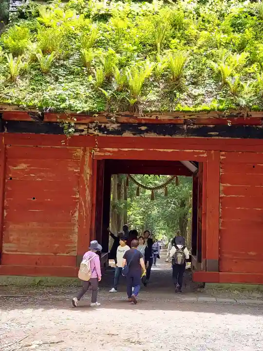 戸隠神社奥社の{uncategorized: "未分類", other: "その他", undefined: "問題あり", building: "その他建物", grave: "お墓", sacred_gate: "鳥居", guardian: "狛犬", statue: "像", buddha: "仏像", history: "歴史", nature: "自然", garden: "庭園", animal: "動物", pagoda: "塔", temizu: "手水舎", mountain_gate: "山門・神門", sanctuary: "本殿・本堂", subordinate: "末社・摂社", art: "芸術", scenery: "景色", jizo: "地蔵", ema: "絵馬", goshuin: "御朱印", omikuji: "おみくじ", items: "授与品その他", amulet: "お守り", goshuincho: "御朱印帳", eats: "食事", festival: "お祭り", votive_dance: "神楽", shichigosan: "七五三参", wedding: "結婚式", experience: "体験その他", initially: "初詣", around: "周辺", anti_infection: "感染症対策"}