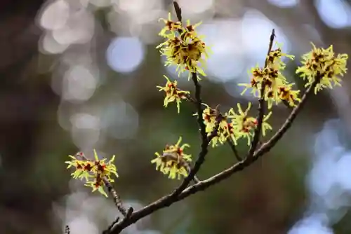 豊景神社の庭園
