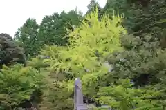 花山院菩提寺の自然