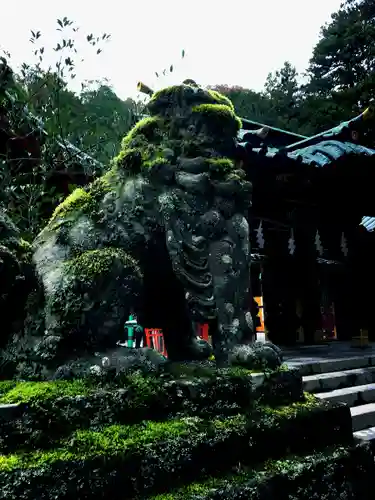 箱根神社の狛犬