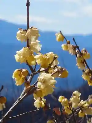 宝登山神社奥宮(埼玉県)