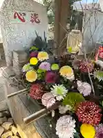 麻賀多神社の手水舎