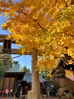 月見岡八幡神社(東京都)