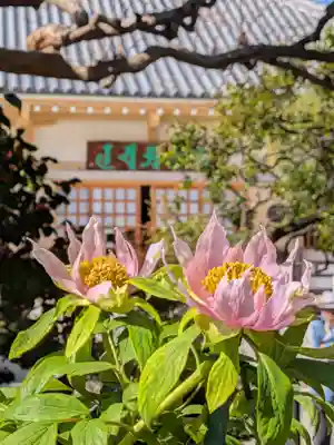 禅定院(東京都)