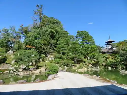 仁和寺の庭園