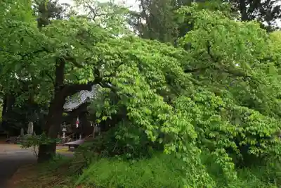 春日神社の景色