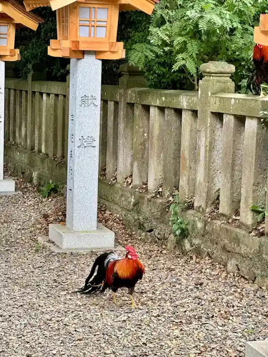 大甕神社(茨城県)