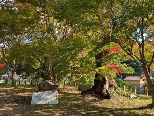 城上神社(島根県)
