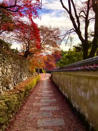 善峯寺(京都府)