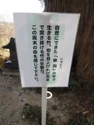 阿久津「田村神社」（郡山市阿久津町）旧社名：伊豆箱根三嶋三社(福島県)