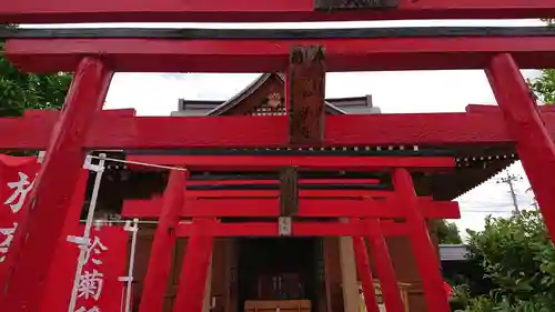 於菊稲荷神社の鳥居