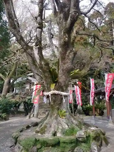 吾平津神社の景色