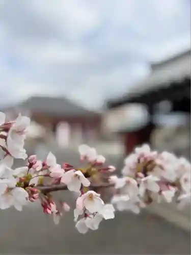 津観音(三重県)