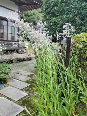 法善寺(埼玉県)