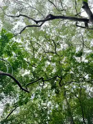和泉國一之宮　大鳥大社(大阪府)