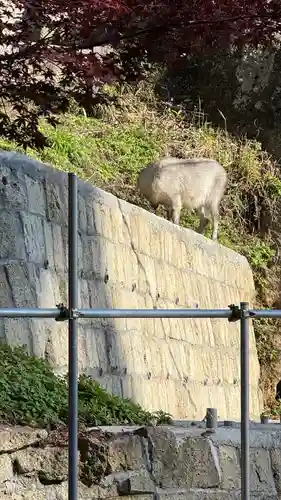 宝珠山 立石寺(山形県)