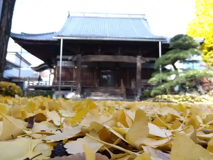 長慶寺の本殿