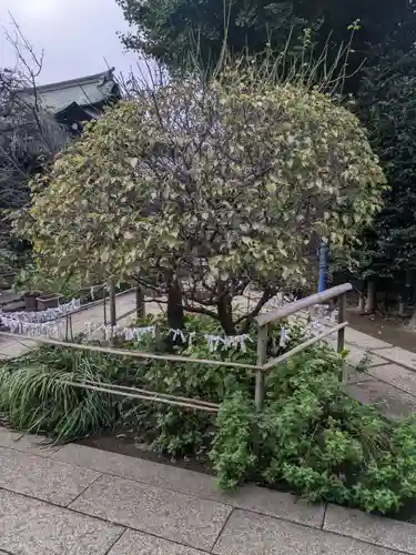 五條天神社(東京都)