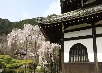 善峯寺(京都府)