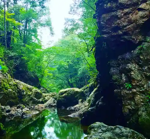 元伊勢天岩戸神社の自然