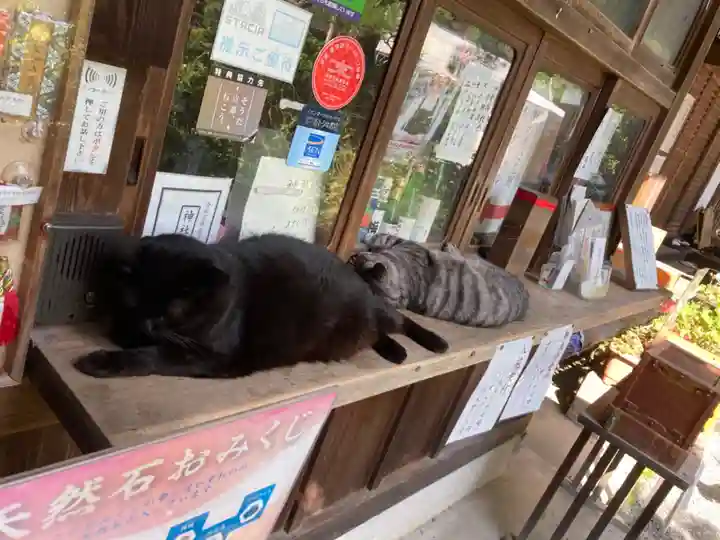 梅宮大社の動物