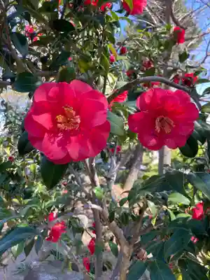 薬王寺(神奈川県)