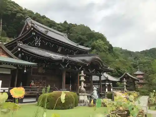 三室戸寺の本殿・本堂
