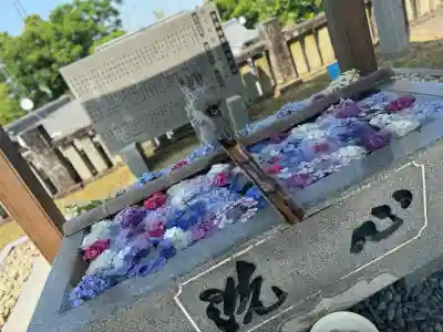 粟井神社の{uncategorized: "未分類", other: "その他", undefined: "問題あり", building: "その他建物", grave: "お墓", sacred_gate: "鳥居", guardian: "狛犬", statue: "像", buddha: "仏像", history: "歴史", nature: "自然", garden: "庭園", animal: "動物", pagoda: "塔", temizu: "手水舎", mountain_gate: "山門・神門", sanctuary: "本殿・本堂", subordinate: "末社・摂社", art: "芸術", scenery: "景色", jizo: "地蔵", ema: "絵馬", goshuin: "御朱印", omikuji: "おみくじ", items: "授与品その他", amulet: "お守り", goshuincho: "御朱印帳", eats: "食事", festival: "お祭り", votive_dance: "神楽", shichigosan: "七五三参", wedding: "結婚式", experience: "体験その他", initially: "初詣", around: "周辺", anti_infection: "感染症対策"}