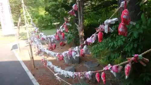 多賀神社のおみくじ