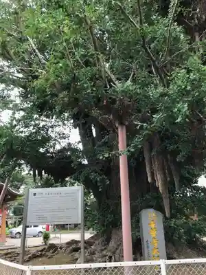 千葉寺のその他建物