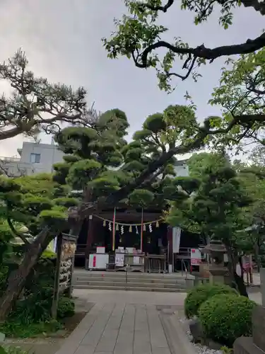 鳩森八幡神社(東京都)
