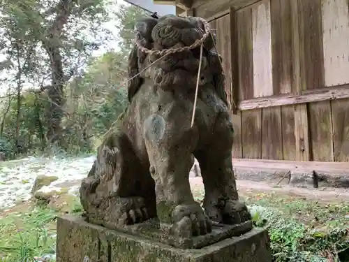 鶴ヶ峰八幡神社の狛犬
