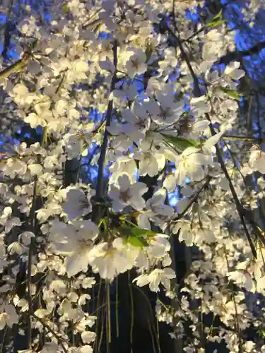 足羽神社の自然