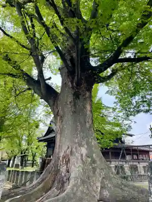 千形神社の{uncategorized: "未分類", other: "その他", undefined: "問題あり", building: "その他建物", grave: "お墓", sacred_gate: "鳥居", guardian: "狛犬", statue: "像", buddha: "仏像", history: "歴史", nature: "自然", garden: "庭園", animal: "動物", pagoda: "塔", temizu: "手水舎", mountain_gate: "山門・神門", sanctuary: "本殿・本堂", subordinate: "末社・摂社", art: "芸術", scenery: "景色", jizo: "地蔵", ema: "絵馬", goshuin: "御朱印", omikuji: "おみくじ", items: "授与品その他", amulet: "お守り", goshuincho: "御朱印帳", eats: "食事", festival: "お祭り", votive_dance: "神楽", shichigosan: "七五三参", wedding: "結婚式", experience: "体験その他", initially: "初詣", around: "周辺", anti_infection: "感染症対策"}