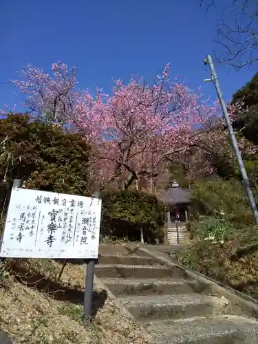 宝楽寺の建物その他