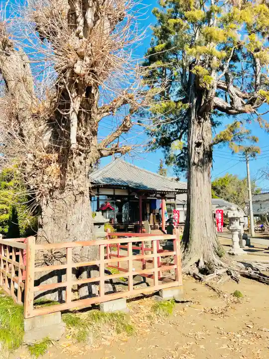 慈光寺(弓田ポックリ不動尊)の{uncategorized: "未分類", other: "その他", undefined: "問題あり", building: "その他建物", grave: "お墓", sacred_gate: "鳥居", guardian: "狛犬", statue: "像", buddha: "仏像", history: "歴史", nature: "自然", garden: "庭園", animal: "動物", pagoda: "塔", temizu: "手水舎", mountain_gate: "山門・神門", sanctuary: "本殿・本堂", subordinate: "末社・摂社", art: "芸術", scenery: "景色", jizo: "地蔵", ema: "絵馬", goshuin: "御朱印", omikuji: "おみくじ", items: "授与品その他", amulet: "お守り", goshuincho: "御朱印帳", eats: "食事", festival: "お祭り", votive_dance: "神楽", shichigosan: "七五三参", wedding: "結婚式", experience: "体験その他", initially: "初詣", around: "周辺", anti_infection: "感染症対策"}