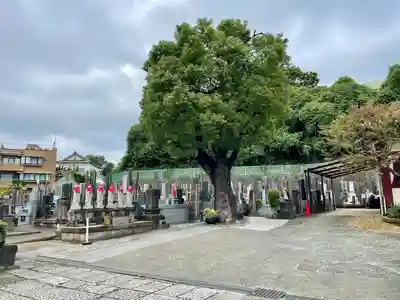 普門寺(神奈川県)