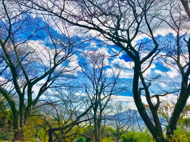 楽法寺(雨引観音)の自然